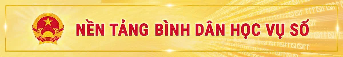 Nền tảng bình dân học vụ số
