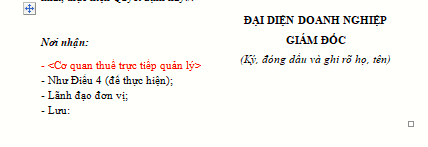 Ví dụ về tên cơ quan quản lý thuế tại địa phương (Chi cục thuế Bình Định)