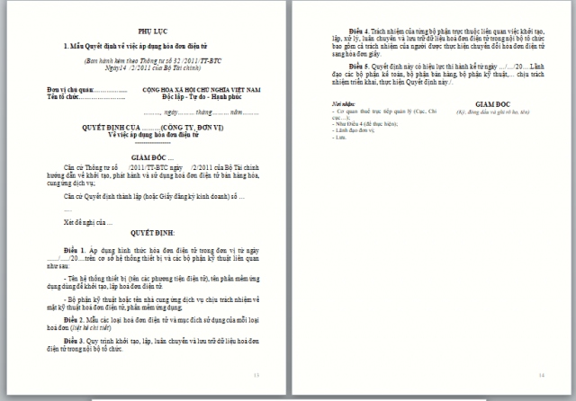 Văn bản “Quyết định về việc áp dụng hoá đơn điện tử” cho doanh nghiệp